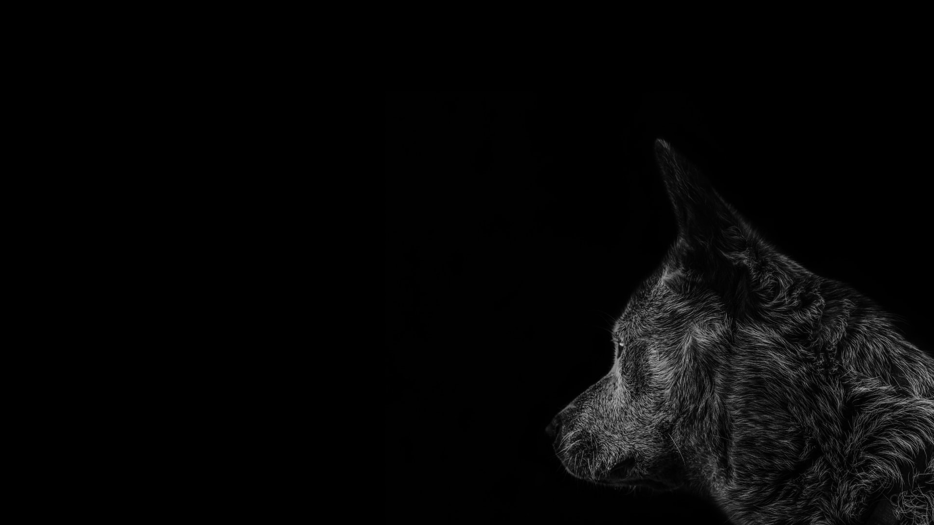 STORE HERO BACKGROUND